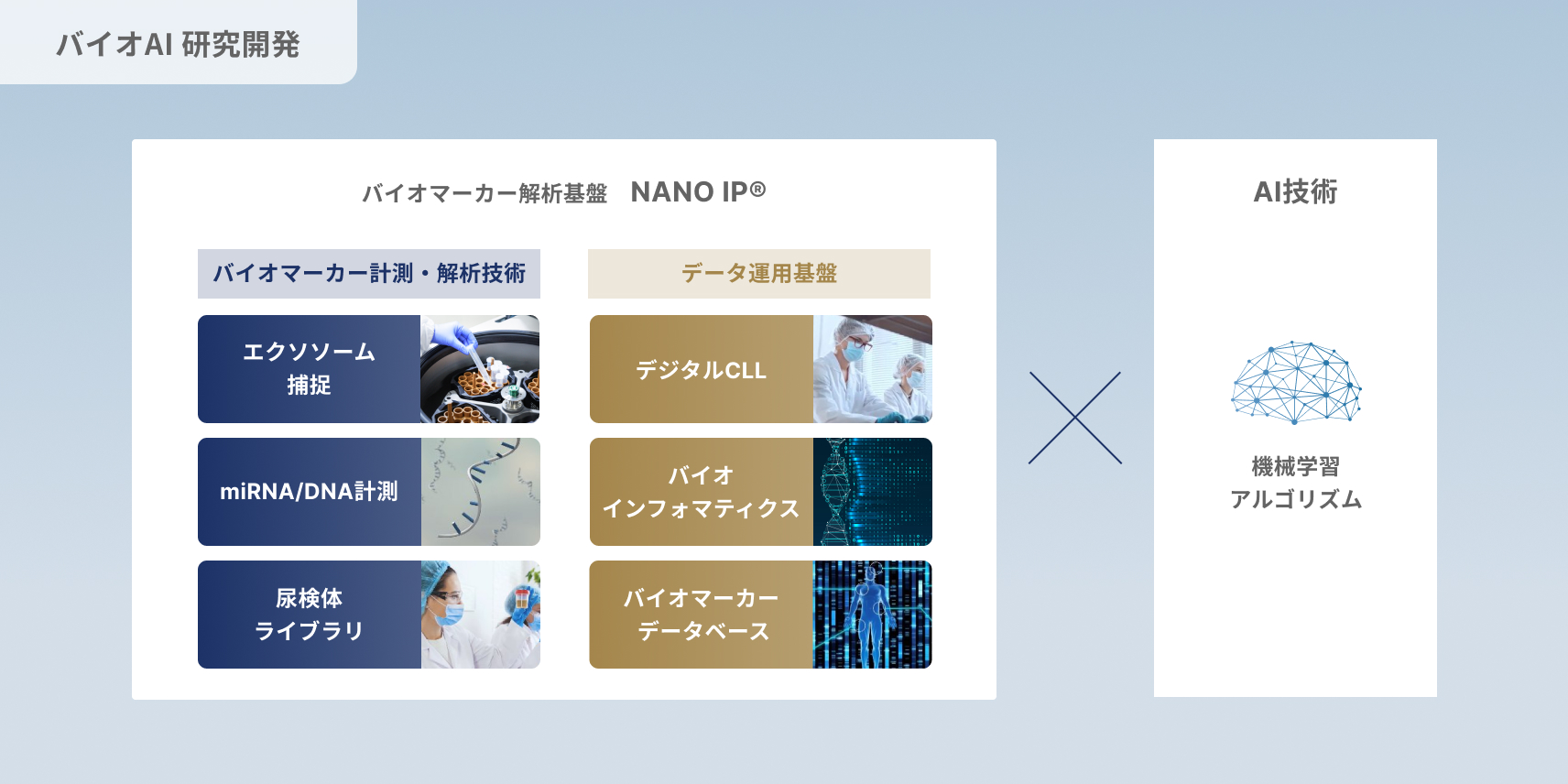 NANO IP®